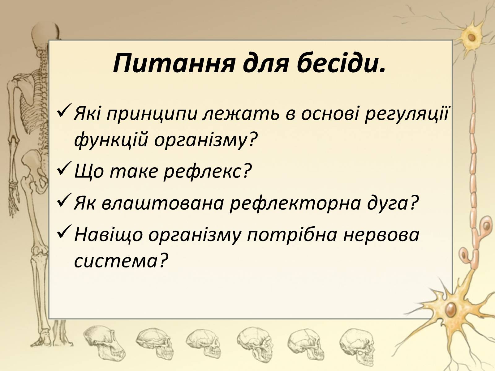 Презентація на тему «Спинний мозок» (варіант 3) - Слайд #4 Презентація на тему «Спинний мозок» (варіант 3) - Слайд #4