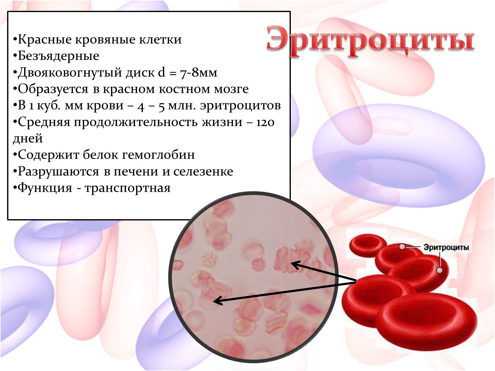Презентація на тему «Внутренняя среда организма» (варіант 2) - Слайд #10 Презентація на тему «Внутренняя среда организма» (варіант 2) - Слайд #10