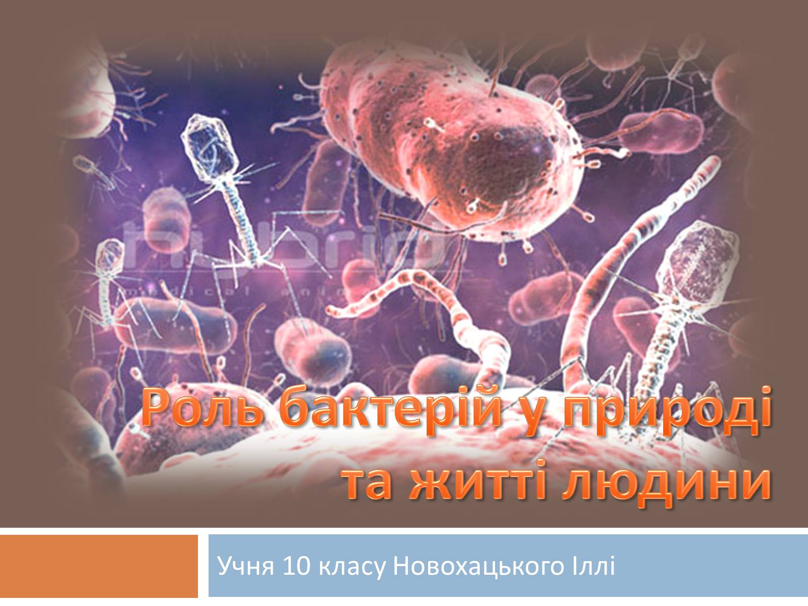 Презентація на тему «Роль бактерій у природі та житті людини» (варіант 1) - Слайд #1 Презентація на тему «Роль бактерій у природі та житті людини» (варіант 1) - Слайд #1