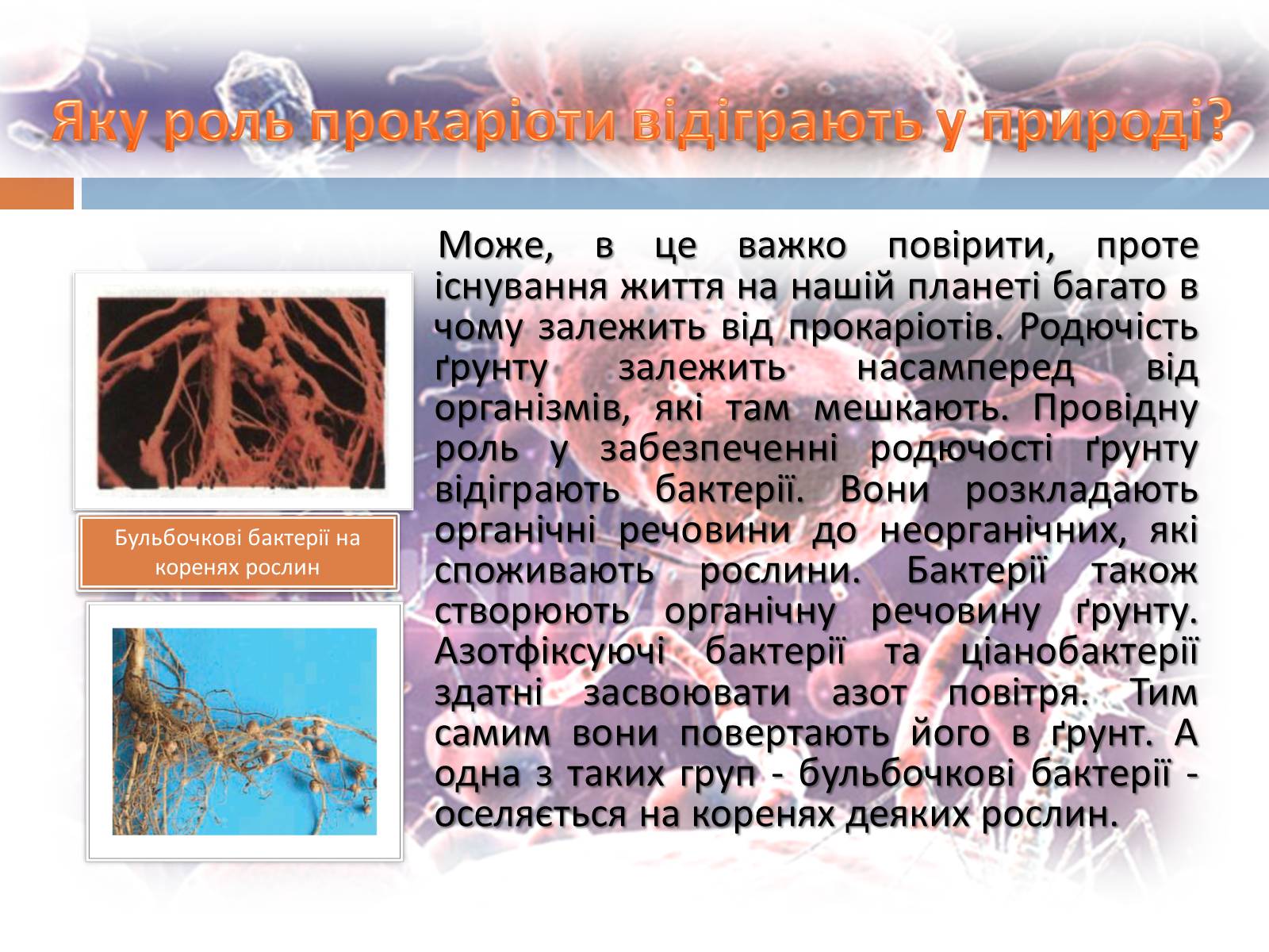 Презентація на тему «Роль бактерій у природі та житті людини» (варіант 1) - Слайд #2 Презентація на тему «Роль бактерій у природі та житті людини» (варіант 1) - Слайд #2
