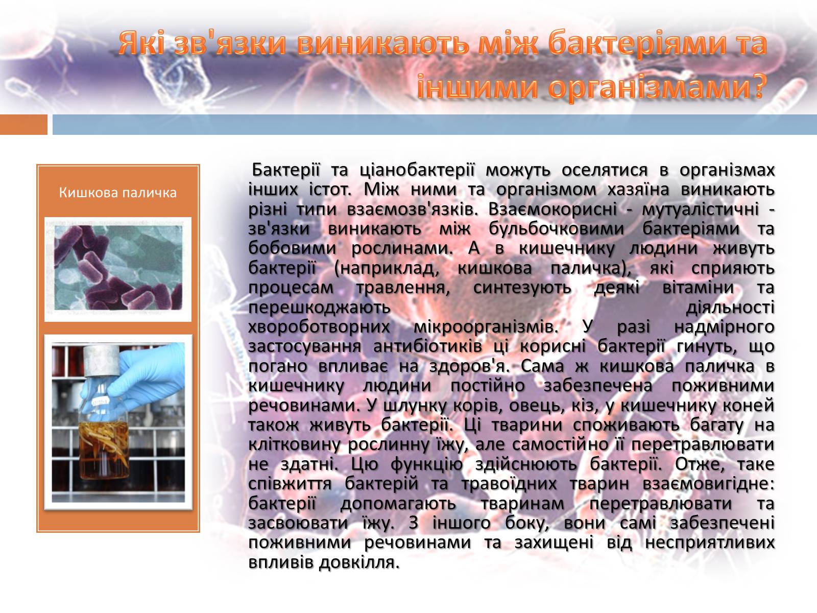 Презентація на тему «Роль бактерій у природі та житті людини» (варіант 1) - Слайд #3 Презентація на тему «Роль бактерій у природі та житті людини» (варіант 1) - Слайд #3