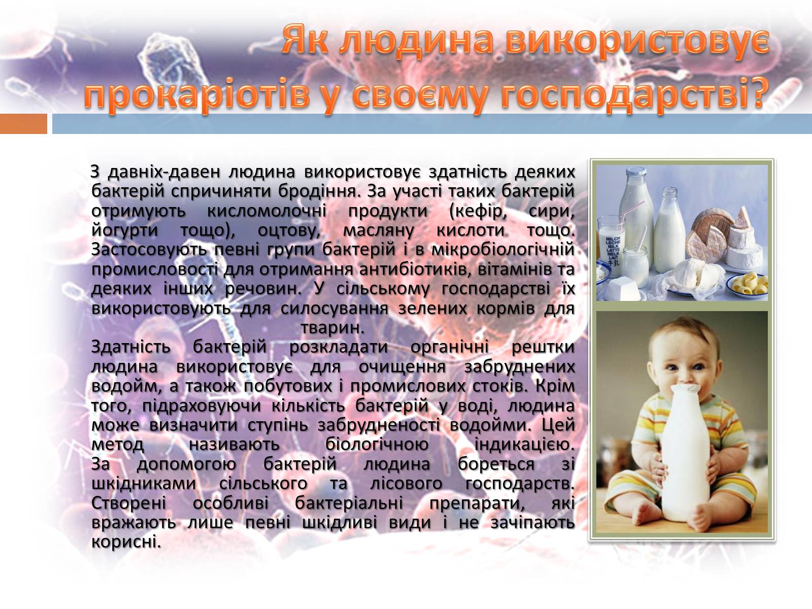 Презентація на тему «Роль бактерій у природі та житті людини» (варіант 1) - Слайд #7 Презентація на тему «Роль бактерій у природі та житті людини» (варіант 1) - Слайд #7