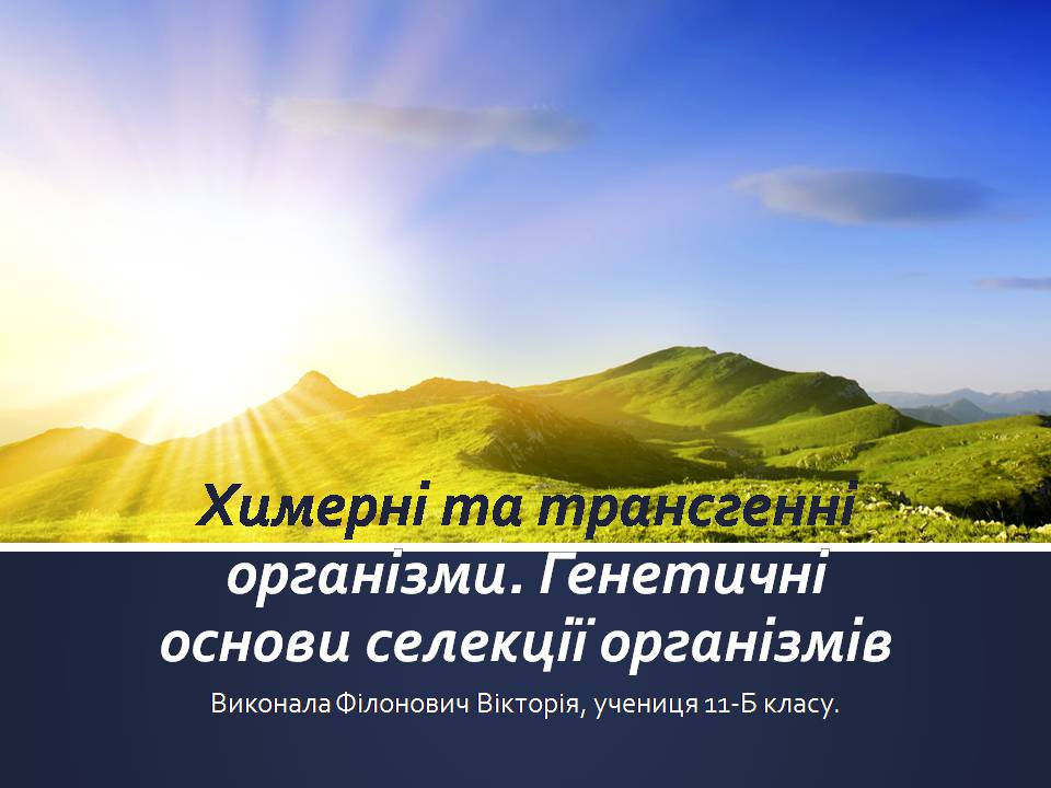 Презентація на тему «Химерні та трансгенні організми. Генетичні основи селекції організмів» - Слайд #1 Презентація на тему «Химерні та трансгенні організми. Генетичні основи селекції організмів» - Слайд #1