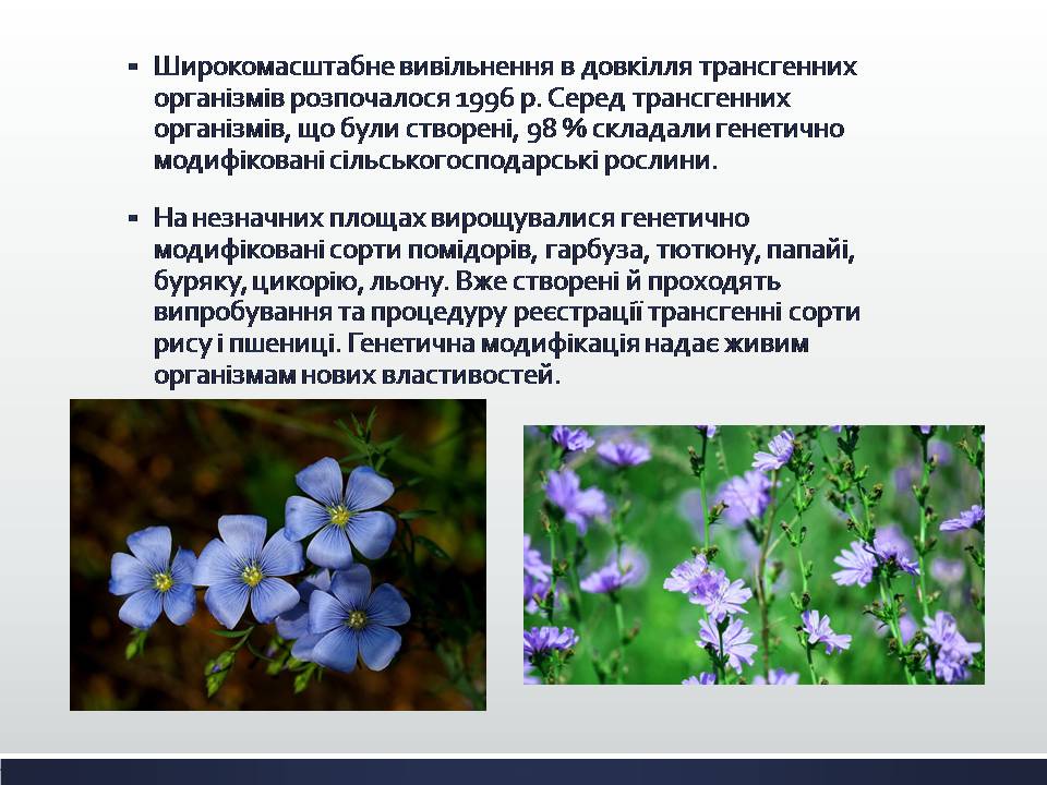 Презентація на тему «Химерні та трансгенні організми. Генетичні основи селекції організмів» - Слайд #10 Презентація на тему «Химерні та трансгенні організми. Генетичні основи селекції організмів» - Слайд #10