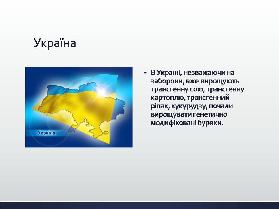 Презентація на тему «Химерні та трансгенні організми. Генетичні основи селекції організмів» - Слайд #12 Презентація на тему «Химерні та трансгенні організми. Генетичні основи селекції організмів» - Слайд #12