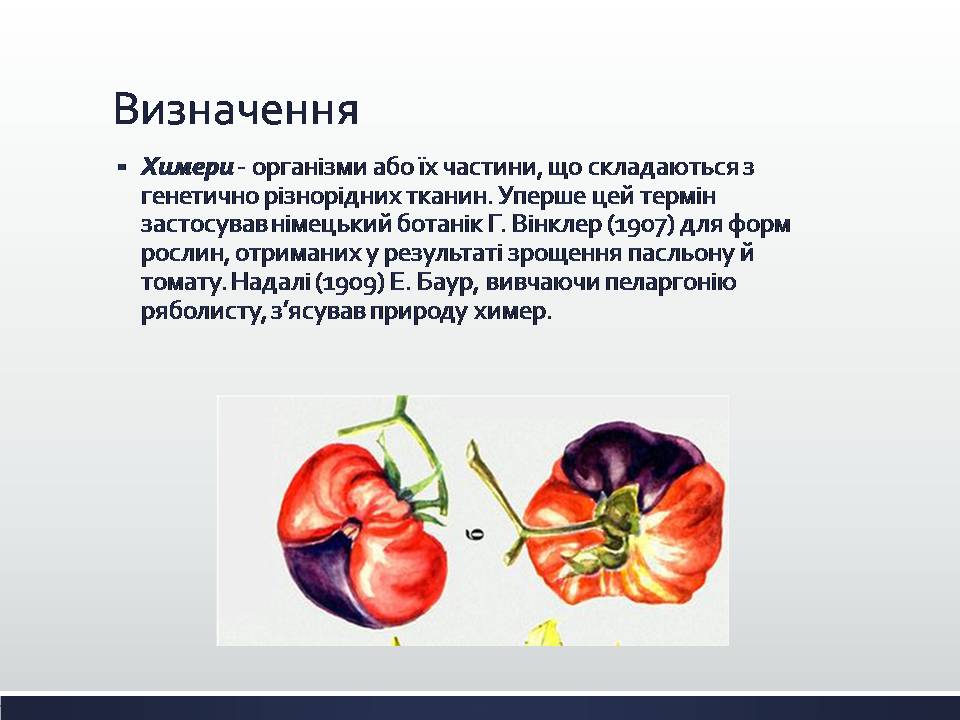 Презентація на тему «Химерні та трансгенні організми. Генетичні основи селекції організмів» - Слайд #2 Презентація на тему «Химерні та трансгенні організми. Генетичні основи селекції організмів» - Слайд #2