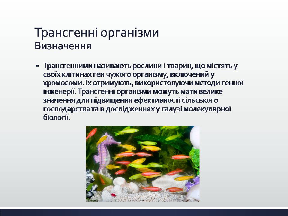 Презентація на тему «Химерні та трансгенні організми. Генетичні основи селекції організмів» - Слайд #7 Презентація на тему «Химерні та трансгенні організми. Генетичні основи селекції організмів» - Слайд #7
