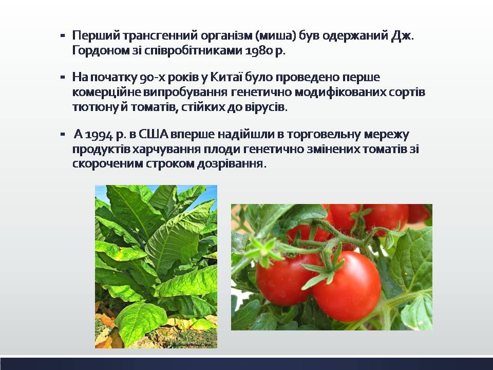 Презентація на тему «Химерні та трансгенні організми. Генетичні основи селекції організмів» - Слайд #9 Презентація на тему «Химерні та трансгенні організми. Генетичні основи селекції організмів» - Слайд #9