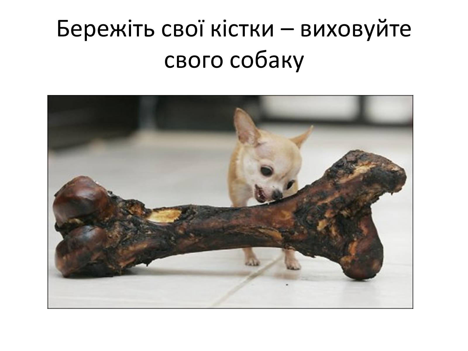 Презентація на тему «Переломи та вивихи. Перша допомога» - Слайд #23 Презентація на тему «Переломи та вивихи. Перша допомога» - Слайд #23