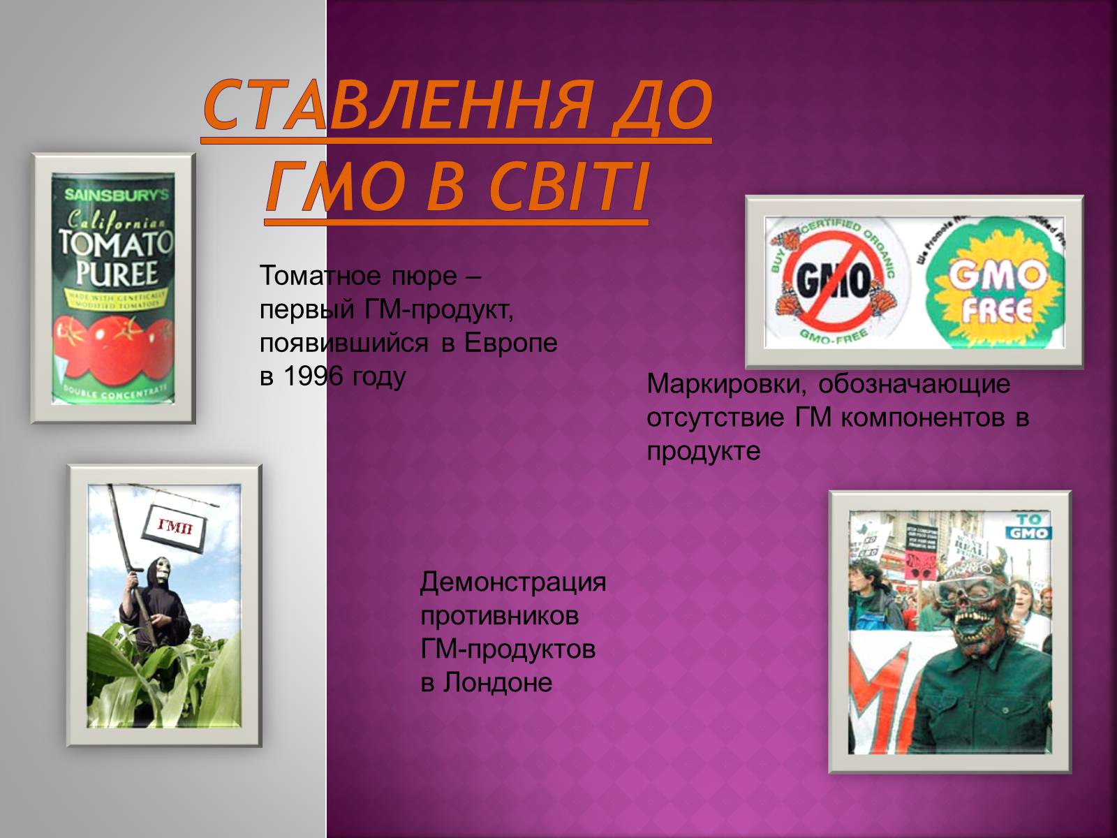 Презентація на тему «Генна Інженерія» (варіант 3) - Слайд #13 Презентація на тему «Генна Інженерія» (варіант 3) - Слайд #13