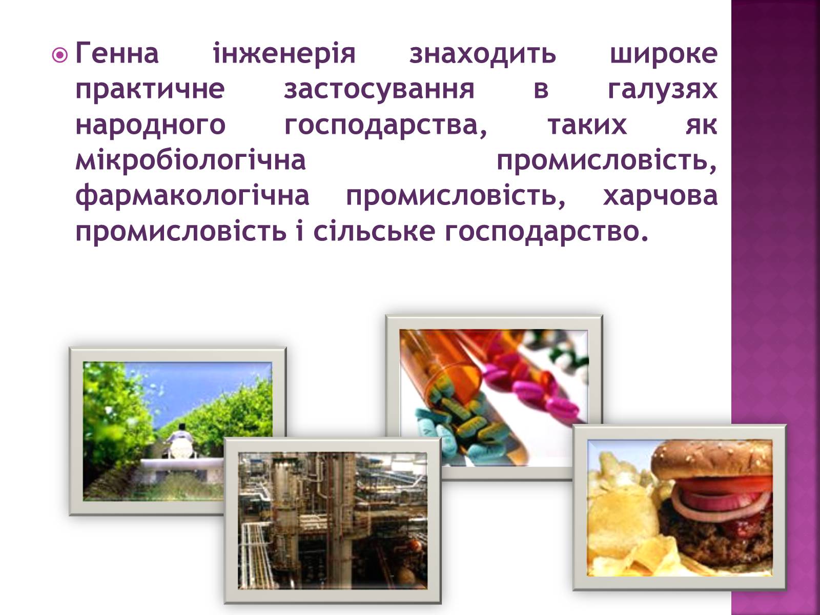 Презентація на тему «Генна Інженерія» (варіант 3) - Слайд #2 Презентація на тему «Генна Інженерія» (варіант 3) - Слайд #2