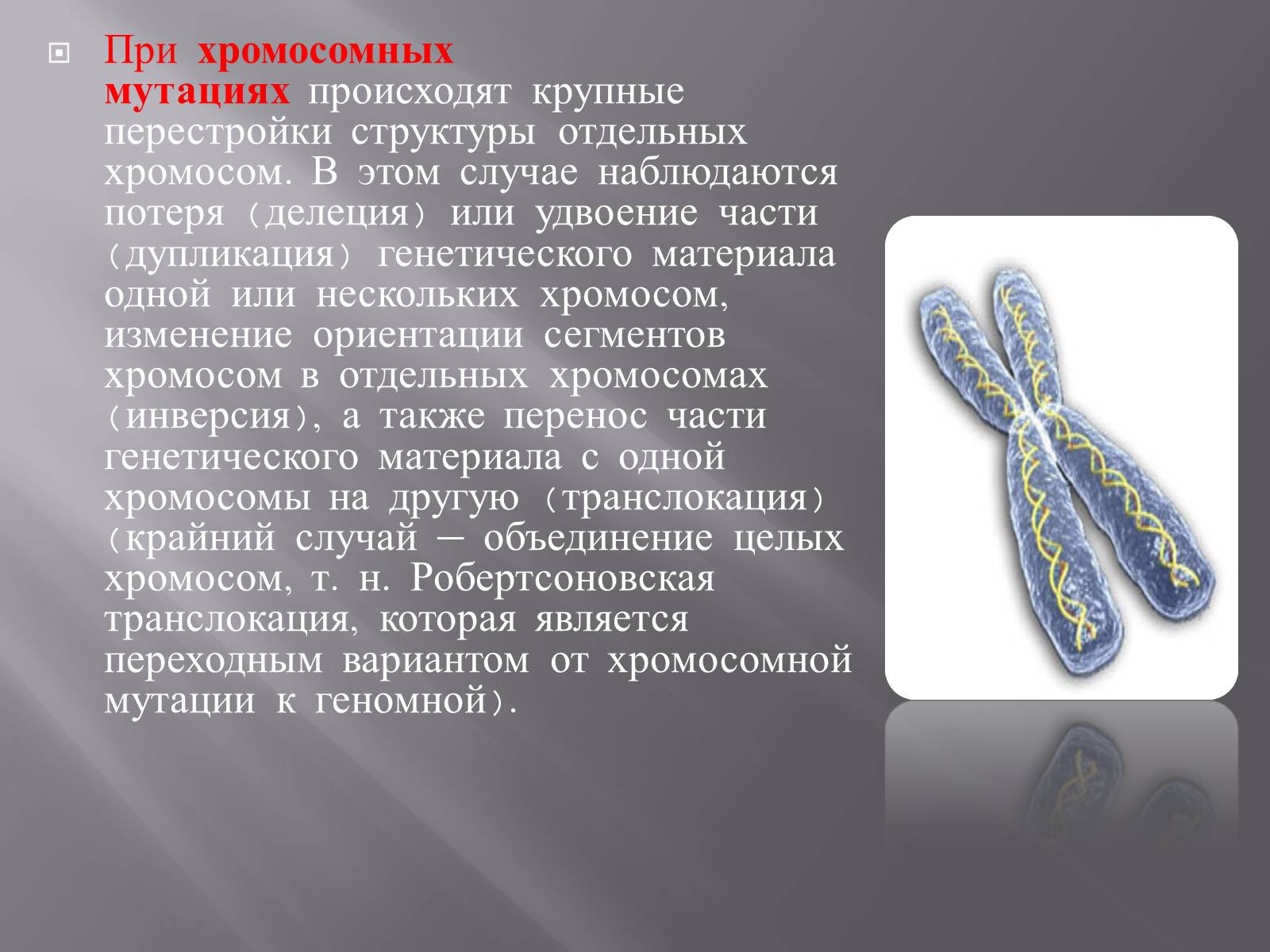 Презентація на тему «Мутации, мутогены, виды мутаций, причины мутаций, значение мутаций» - Слайд #12 Презентація на тему «Мутации, мутогены, виды мутаций, причины мутаций, значение мутаций» - Слайд #12