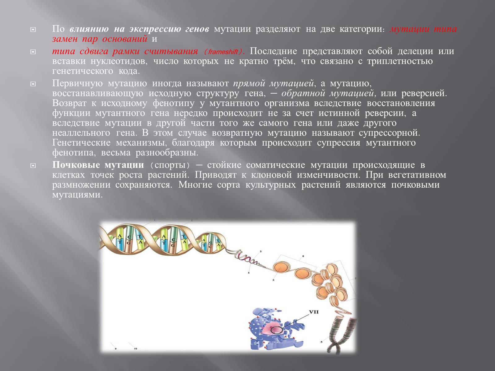 Презентація на тему «Мутации, мутогены, виды мутаций, причины мутаций, значение мутаций» - Слайд #16 Презентація на тему «Мутации, мутогены, виды мутаций, причины мутаций, значение мутаций» - Слайд #16