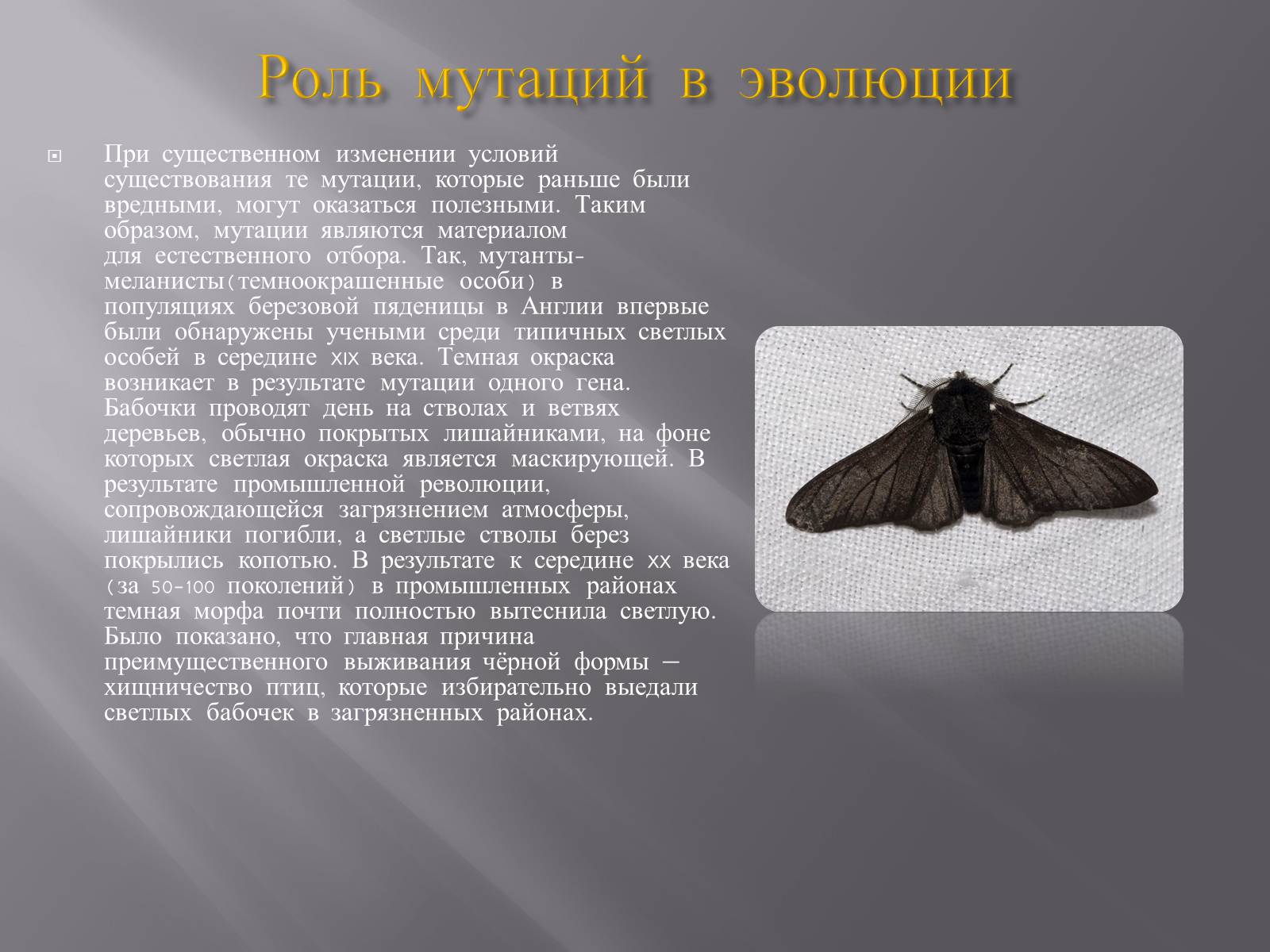 Презентація на тему «Мутации, мутогены, виды мутаций, причины мутаций, значение мутаций» - Слайд #18 Презентація на тему «Мутации, мутогены, виды мутаций, причины мутаций, значение мутаций» - Слайд #18