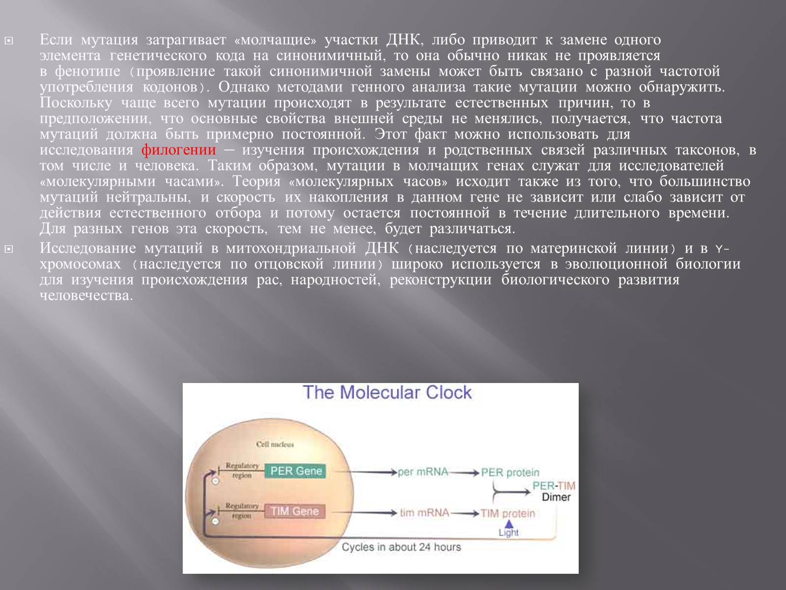 Презентація на тему «Мутации, мутогены, виды мутаций, причины мутаций, значение мутаций» - Слайд #19 Презентація на тему «Мутации, мутогены, виды мутаций, причины мутаций, значение мутаций» - Слайд #19