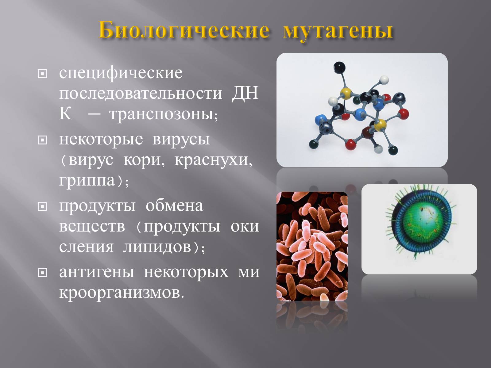 Презентація на тему «Мутации, мутогены, виды мутаций, причины мутаций, значение мутаций» - Слайд #26 Презентація на тему «Мутации, мутогены, виды мутаций, причины мутаций, значение мутаций» - Слайд #26