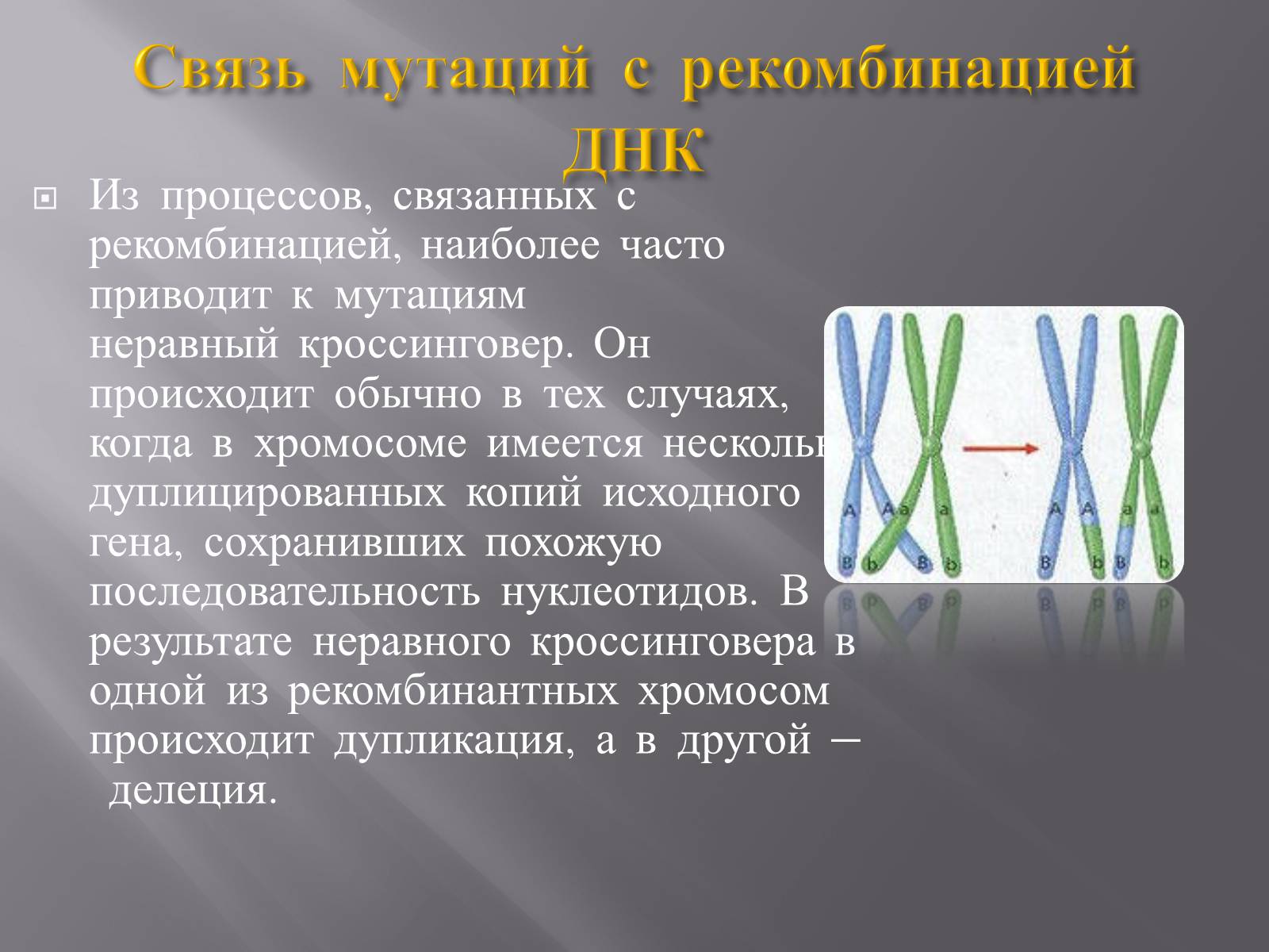 Презентація на тему «Мутации, мутогены, виды мутаций, причины мутаций, значение мутаций» - Слайд #5 Презентація на тему «Мутации, мутогены, виды мутаций, причины мутаций, значение мутаций» - Слайд #5