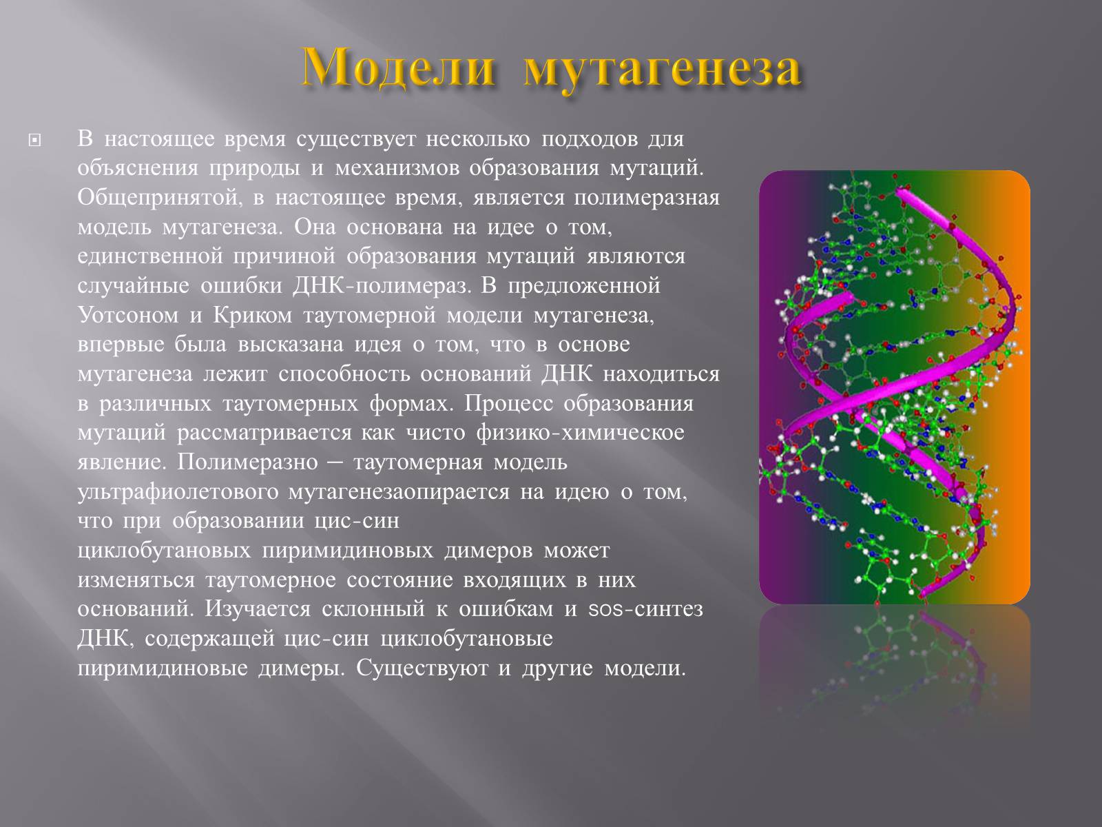 Презентація на тему «Мутации, мутогены, виды мутаций, причины мутаций, значение мутаций» - Слайд #7 Презентація на тему «Мутации, мутогены, виды мутаций, причины мутаций, значение мутаций» - Слайд #7
