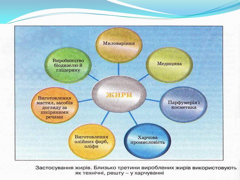 Презентація на тему «Жири» (варіант 28) - Слайд #13 Презентація на тему «Жири» (варіант 28) - Слайд #13