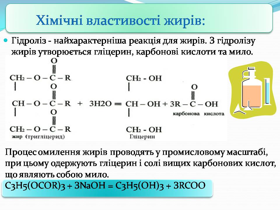 Презентація на тему «Жири» (варіант 28) - Слайд #5 Презентація на тему «Жири» (варіант 28) - Слайд #5