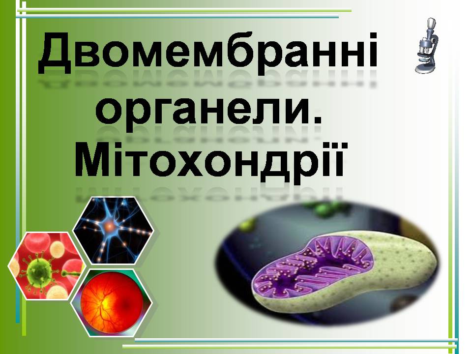 Презентація на тему «Мітохондрії» - Слайд #1 Презентація на тему «Мітохондрії» - Слайд #1