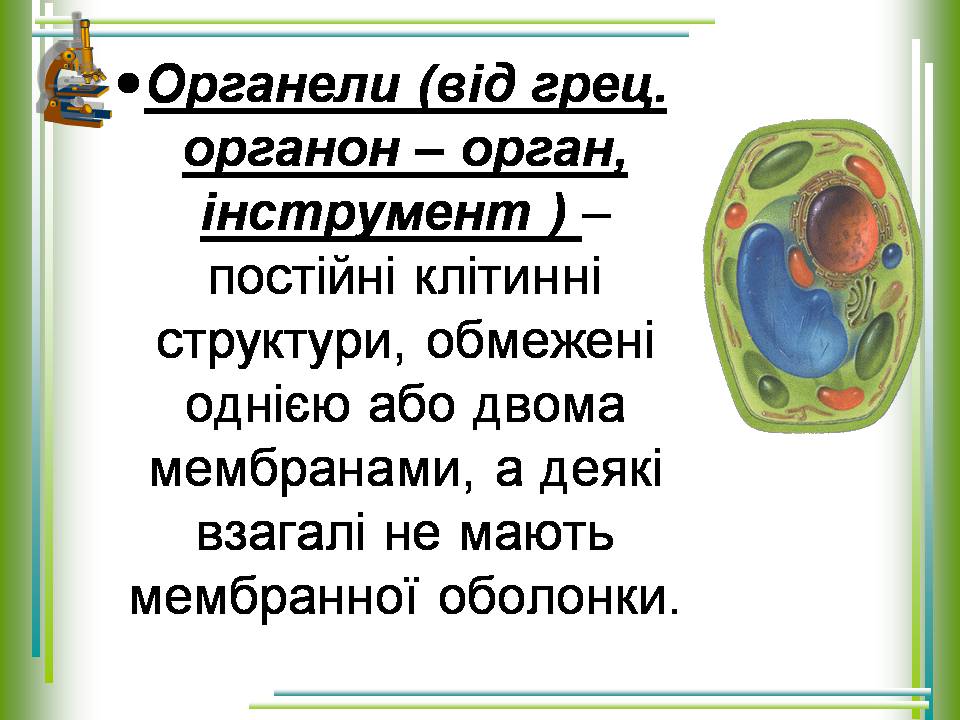 Презентація на тему «Мітохондрії» - Слайд #5 Презентація на тему «Мітохондрії» - Слайд #5