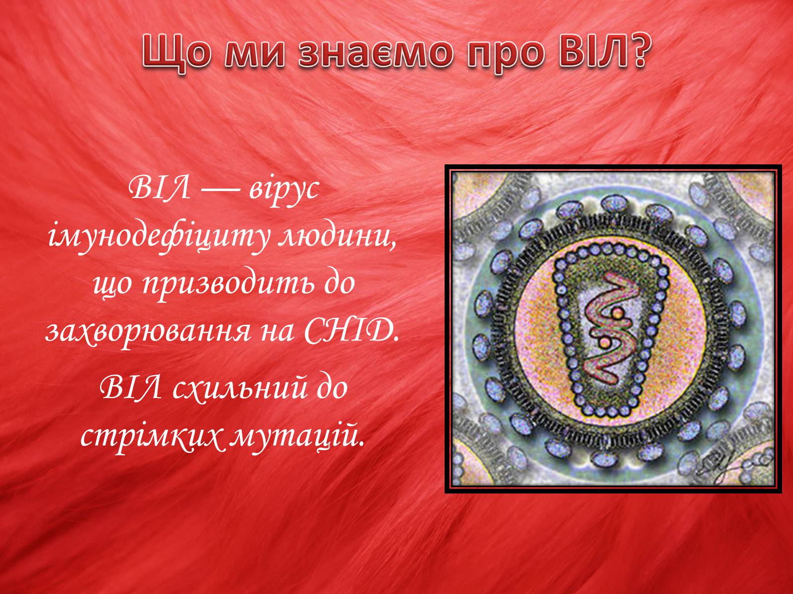 Презентація на тему «Профілактика ВІЛ/СНІДу» - Слайд #3 Презентація на тему «Профілактика ВІЛ/СНІДу» - Слайд #3