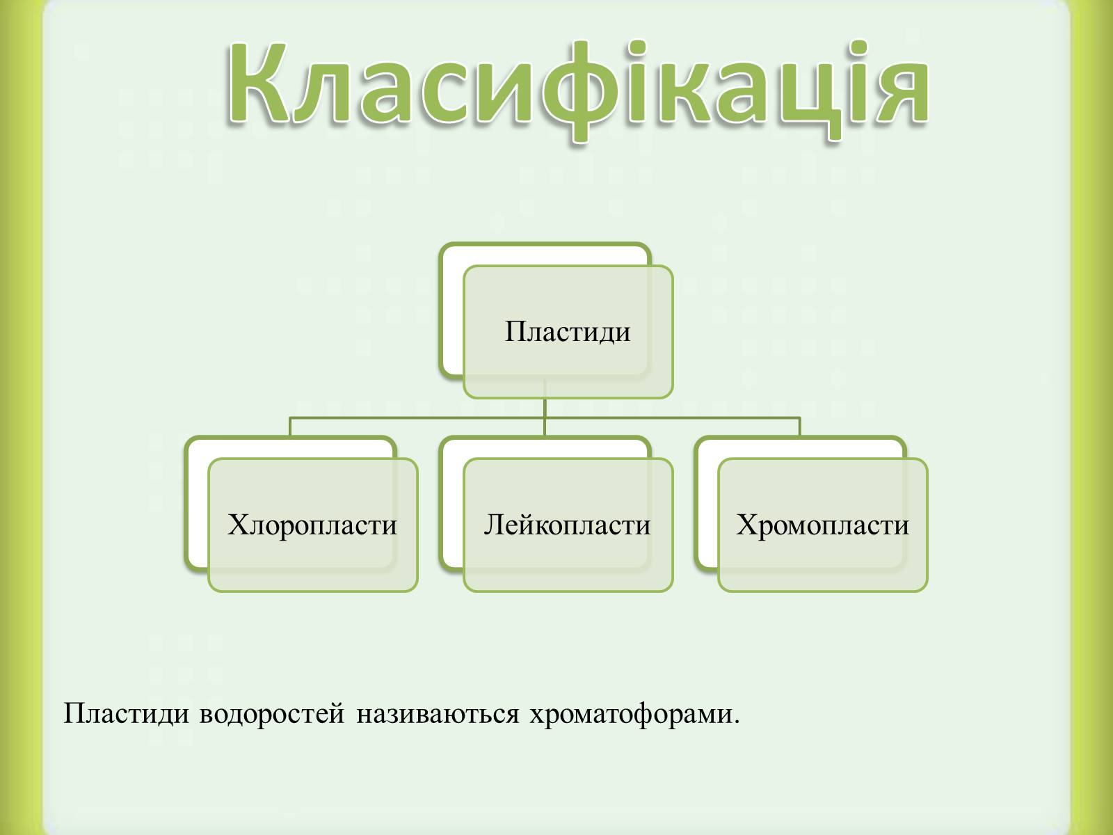 Презентація на тему «Пластиди» - Слайд #3 Презентація на тему «Пластиди» - Слайд #3