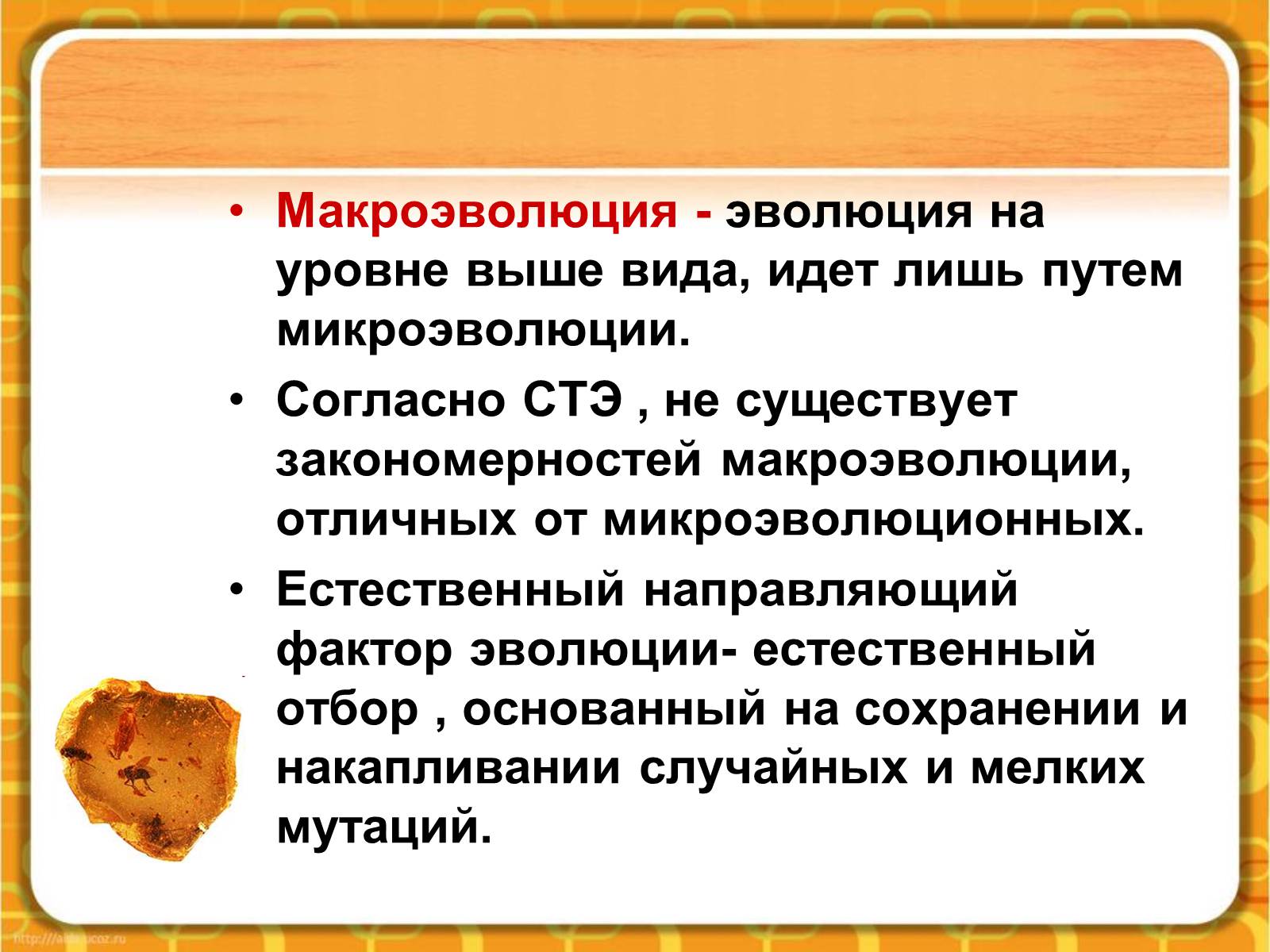 Презентація на тему «Макроэволюция.Доказательства эволюции» - Слайд #2 Презентація на тему «Макроэволюция.Доказательства эволюции» - Слайд #2