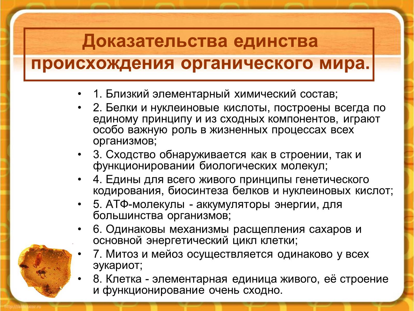 Презентація на тему «Макроэволюция.Доказательства эволюции» - Слайд #3 Презентація на тему «Макроэволюция.Доказательства эволюции» - Слайд #3