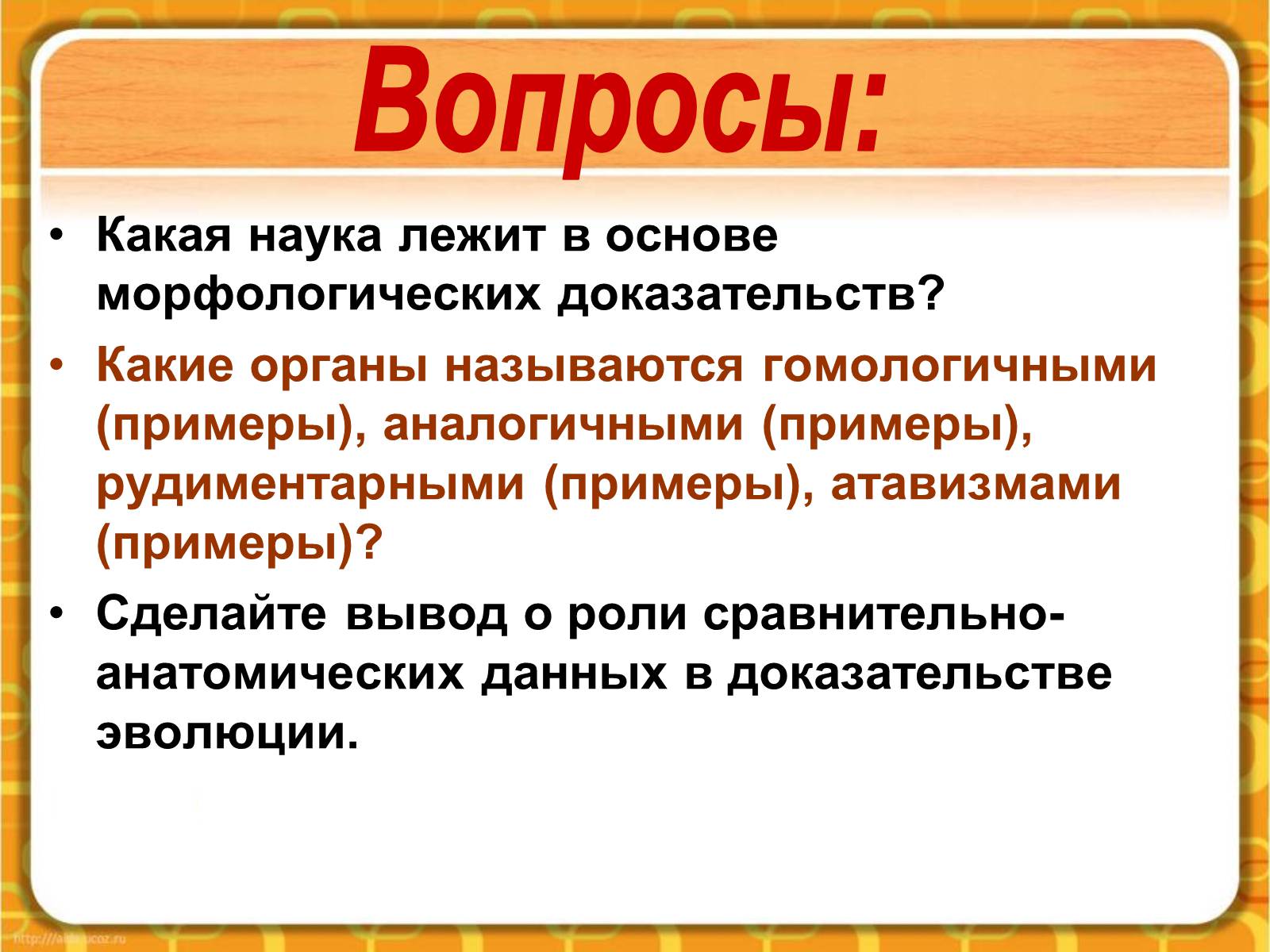 Презентація на тему «Макроэволюция.Доказательства эволюции» - Слайд #30 Презентація на тему «Макроэволюция.Доказательства эволюции» - Слайд #30