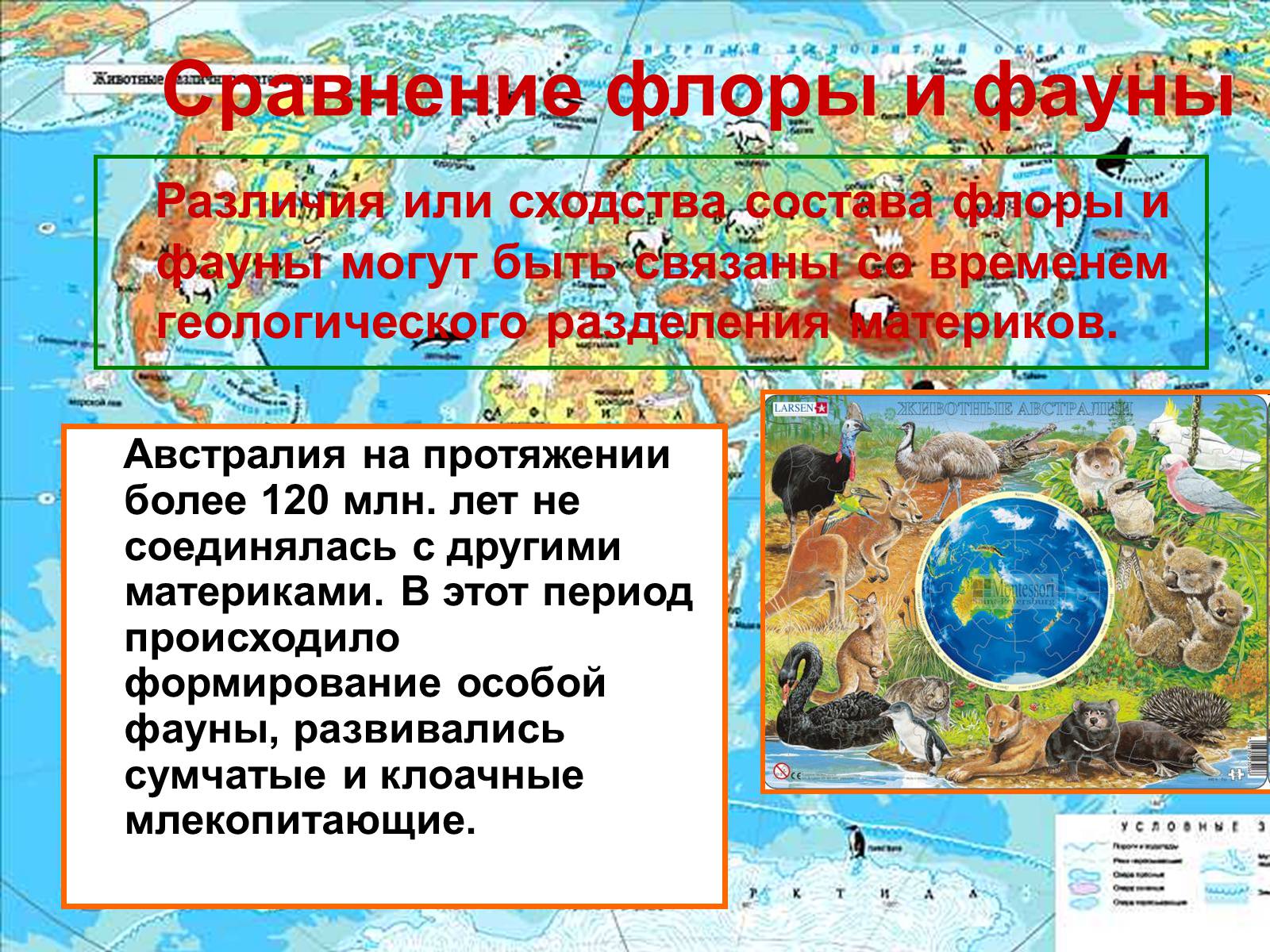 Презентація на тему «Макроэволюция.Доказательства эволюции» - Слайд #32 Презентація на тему «Макроэволюция.Доказательства эволюции» - Слайд #32