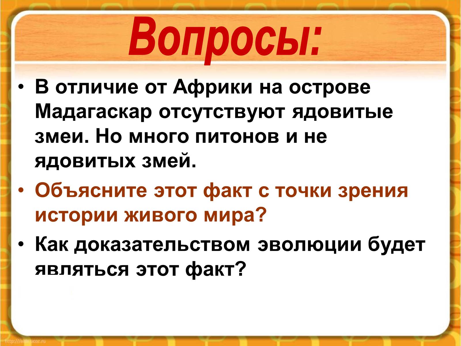 Презентація на тему «Макроэволюция.Доказательства эволюции» - Слайд #40 Презентація на тему «Макроэволюция.Доказательства эволюции» - Слайд #40