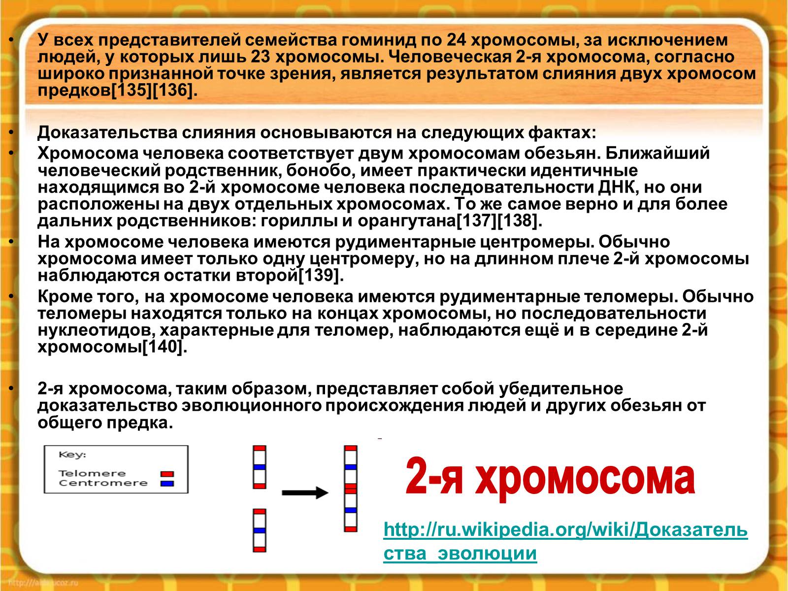 Презентація на тему «Макроэволюция.Доказательства эволюции» - Слайд #43 Презентація на тему «Макроэволюция.Доказательства эволюции» - Слайд #43