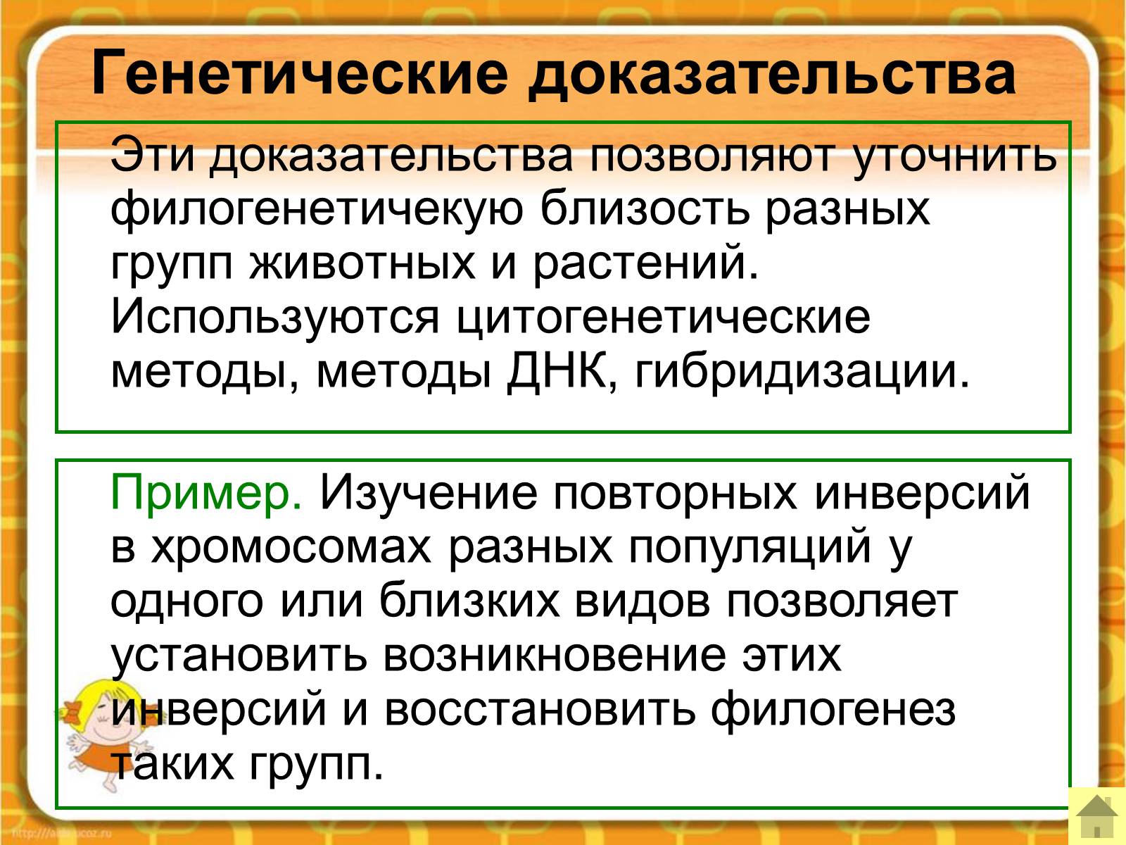 Презентація на тему «Макроэволюция.Доказательства эволюции» - Слайд #44 Презентація на тему «Макроэволюция.Доказательства эволюции» - Слайд #44