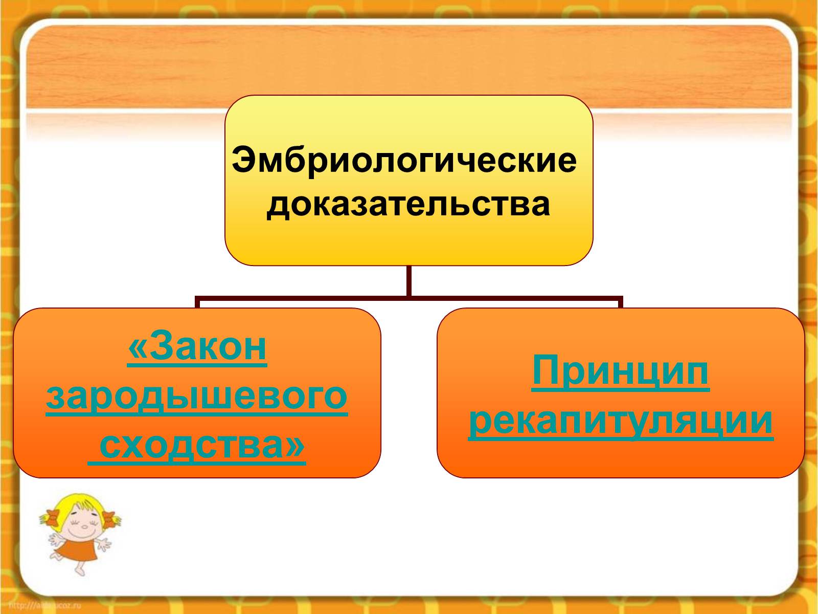 Презентація на тему «Макроэволюция.Доказательства эволюции» - Слайд #47 Презентація на тему «Макроэволюция.Доказательства эволюции» - Слайд #47