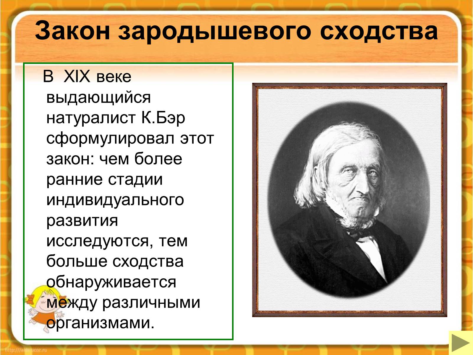 Презентація на тему «Макроэволюция.Доказательства эволюции» - Слайд #48 Презентація на тему «Макроэволюция.Доказательства эволюции» - Слайд #48