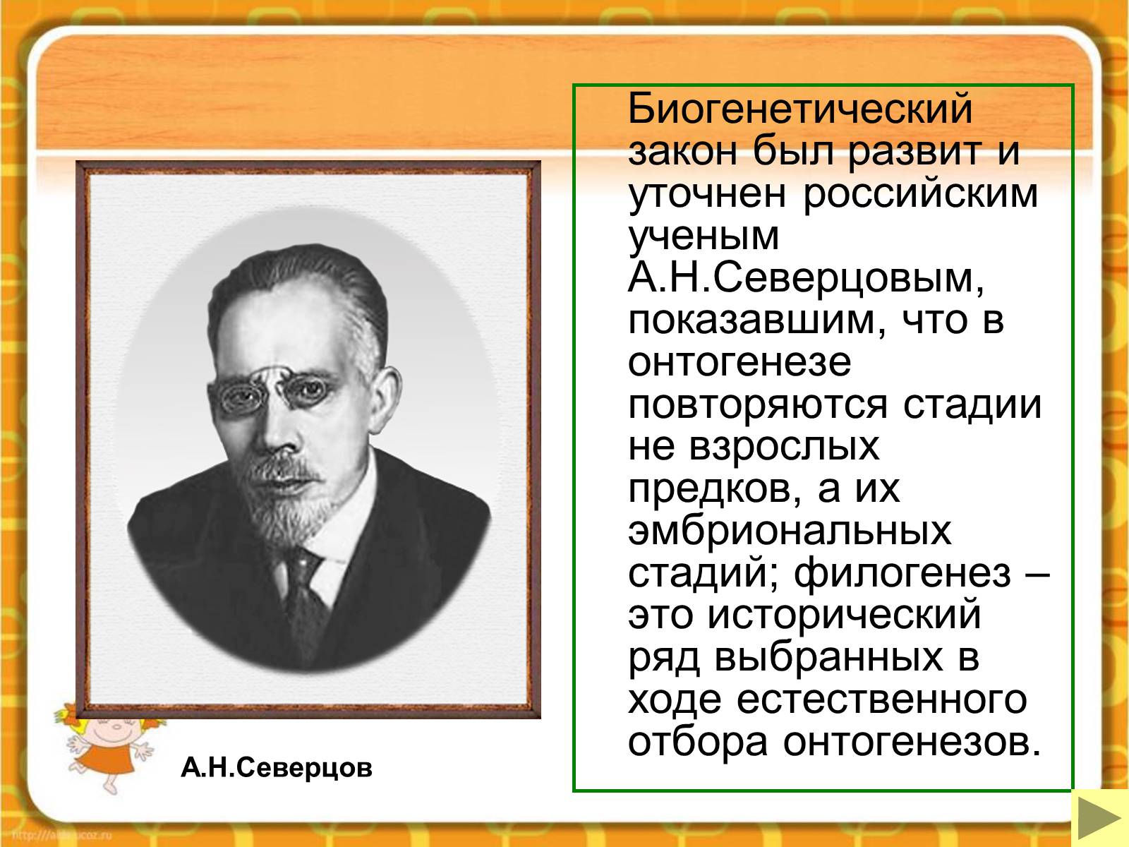 Презентація на тему «Макроэволюция.Доказательства эволюции» - Слайд #51 Презентація на тему «Макроэволюция.Доказательства эволюции» - Слайд #51