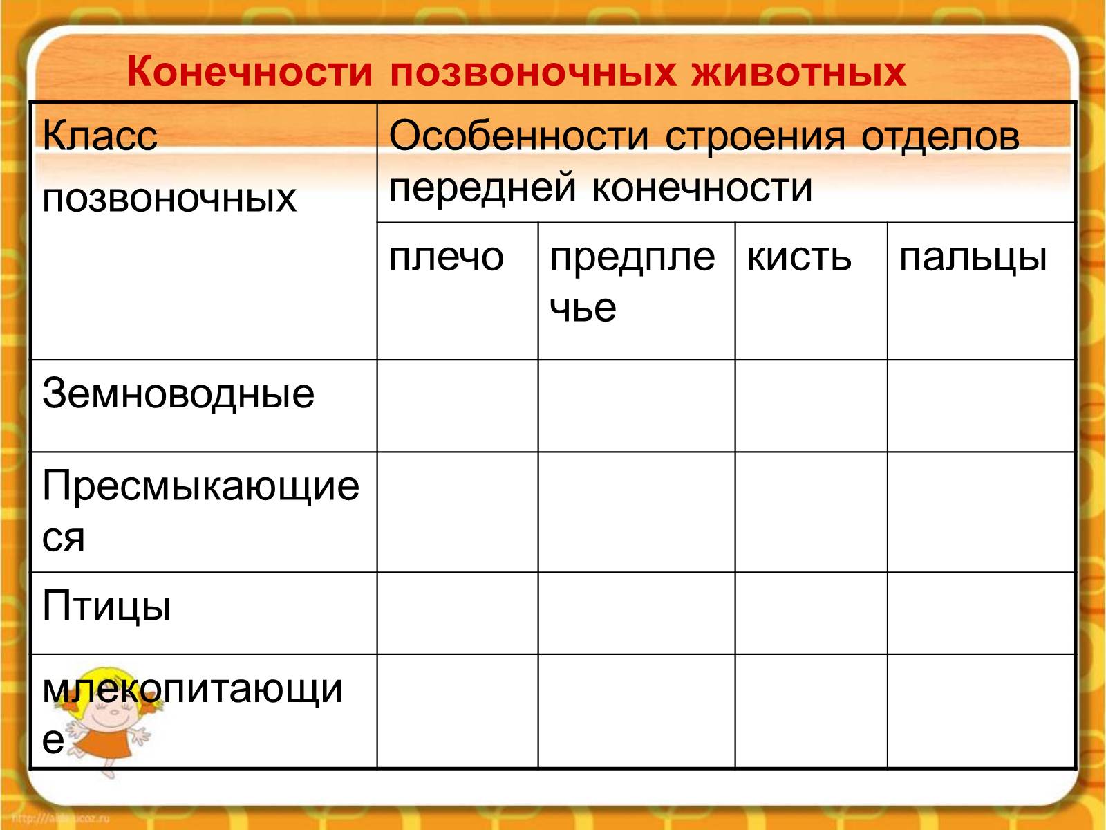 Презентація на тему «Макроэволюция.Доказательства эволюции» - Слайд #57 Презентація на тему «Макроэволюция.Доказательства эволюции» - Слайд #57