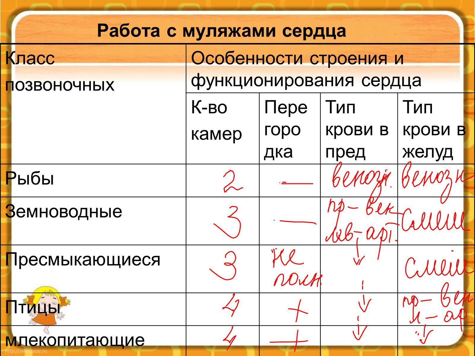 Презентація на тему «Макроэволюция.Доказательства эволюции» - Слайд #58 Презентація на тему «Макроэволюция.Доказательства эволюции» - Слайд #58