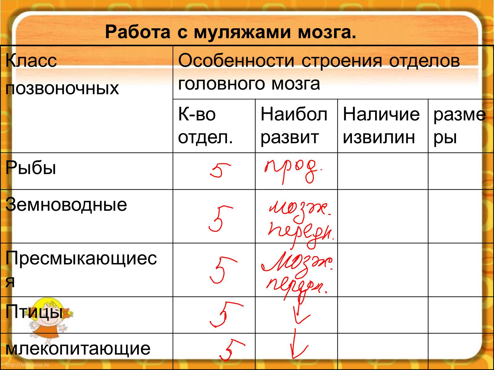 Презентація на тему «Макроэволюция.Доказательства эволюции» - Слайд #59 Презентація на тему «Макроэволюция.Доказательства эволюции» - Слайд #59