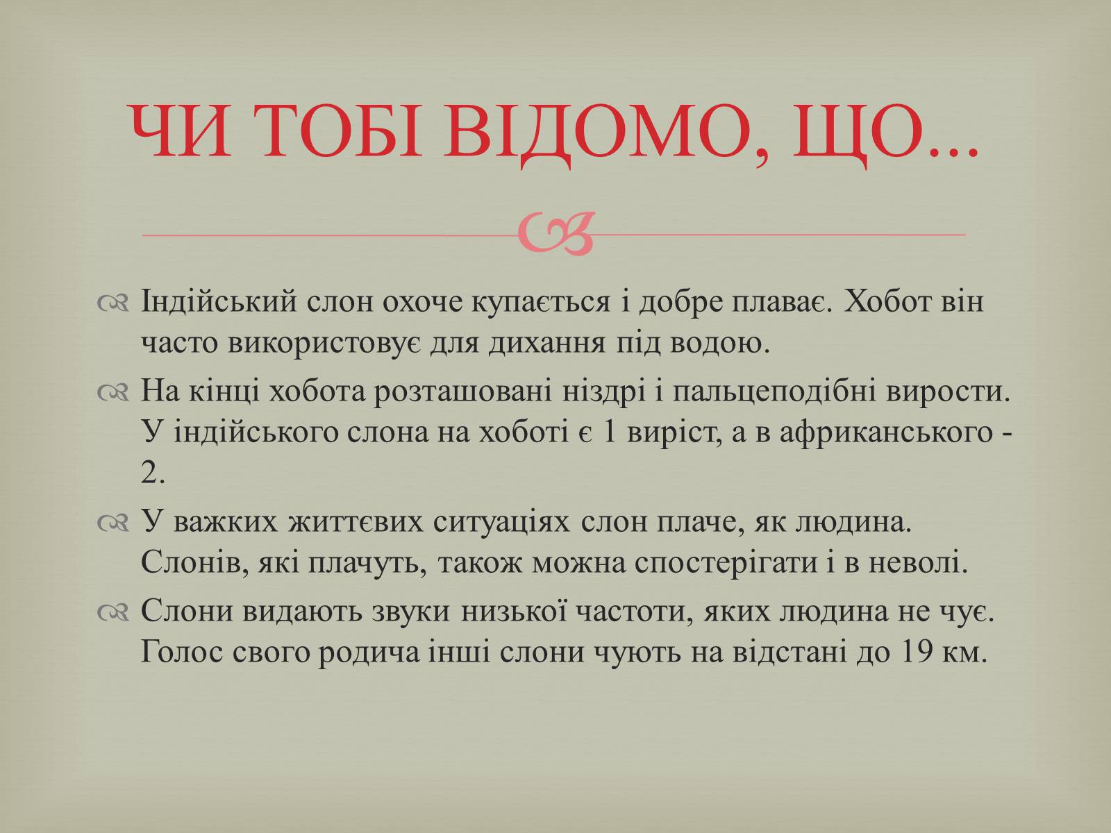 Презентація на тему «Ряд Хоботні» - Слайд #10