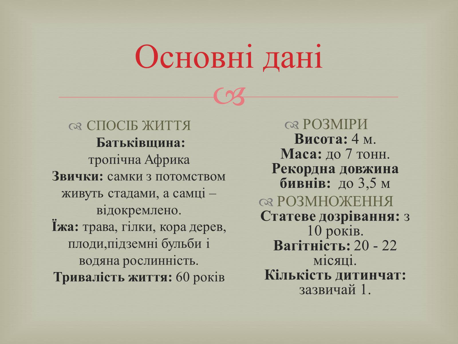 Презентація на тему «Ряд Хоботні» - Слайд #12