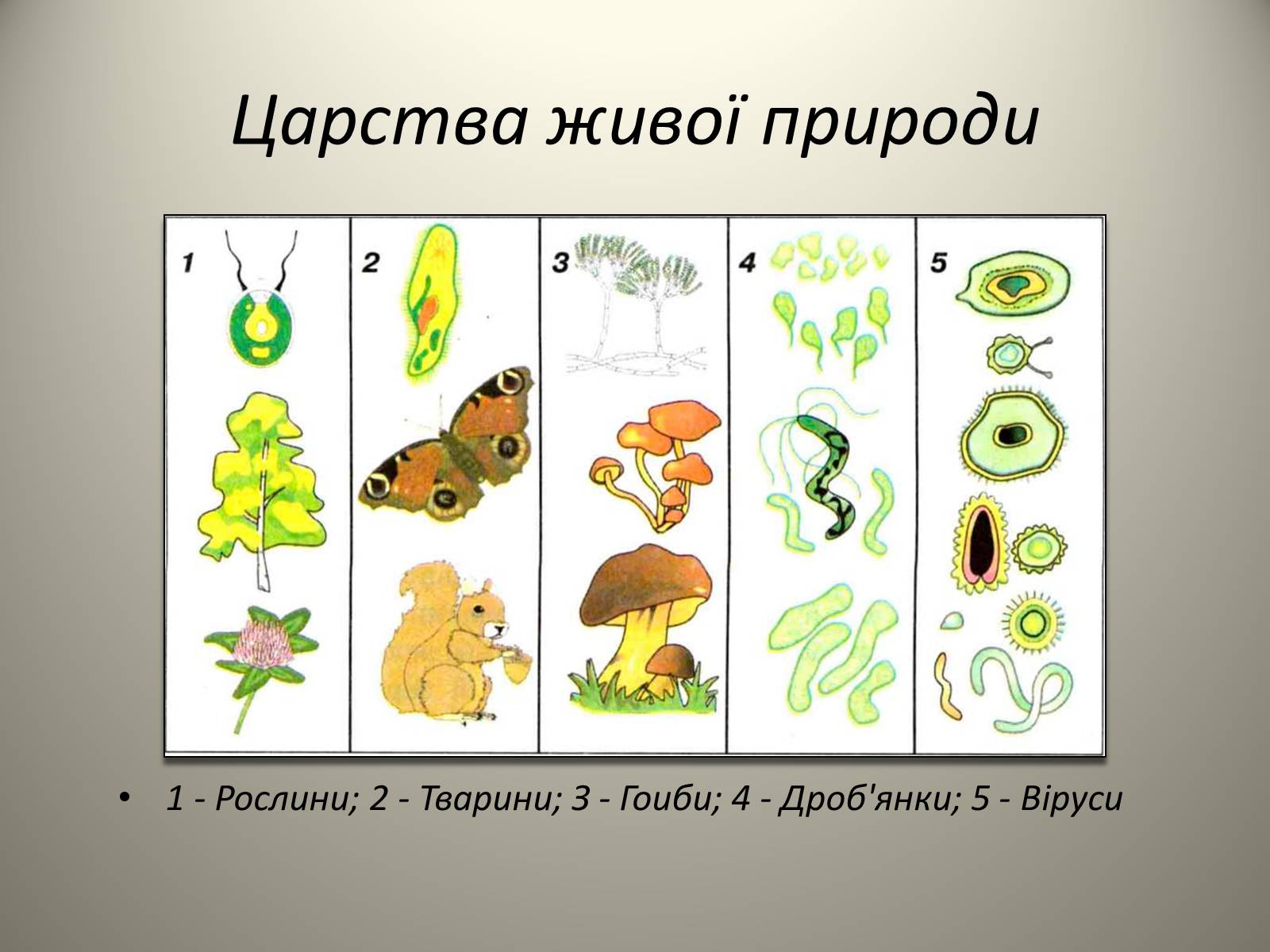 Презентація на тему «Різноманітність живих організмів» - Слайд #5 Презентація на тему «Різноманітність живих організмів» - Слайд #5