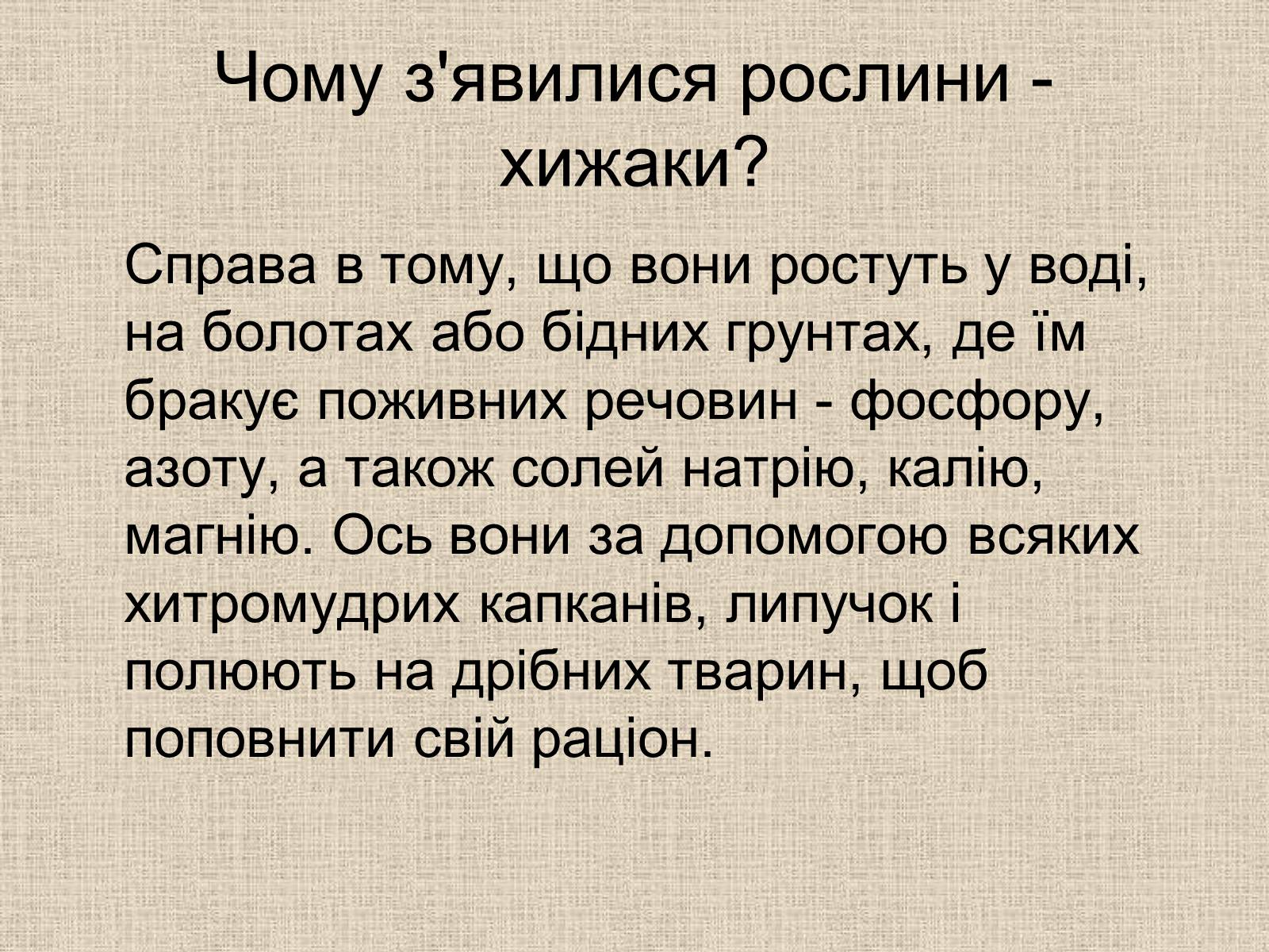 Презентація на тему «Рослини-хижаки» (варіант 1) - Слайд #14 Презентація на тему «Рослини-хижаки» (варіант 1) - Слайд #14