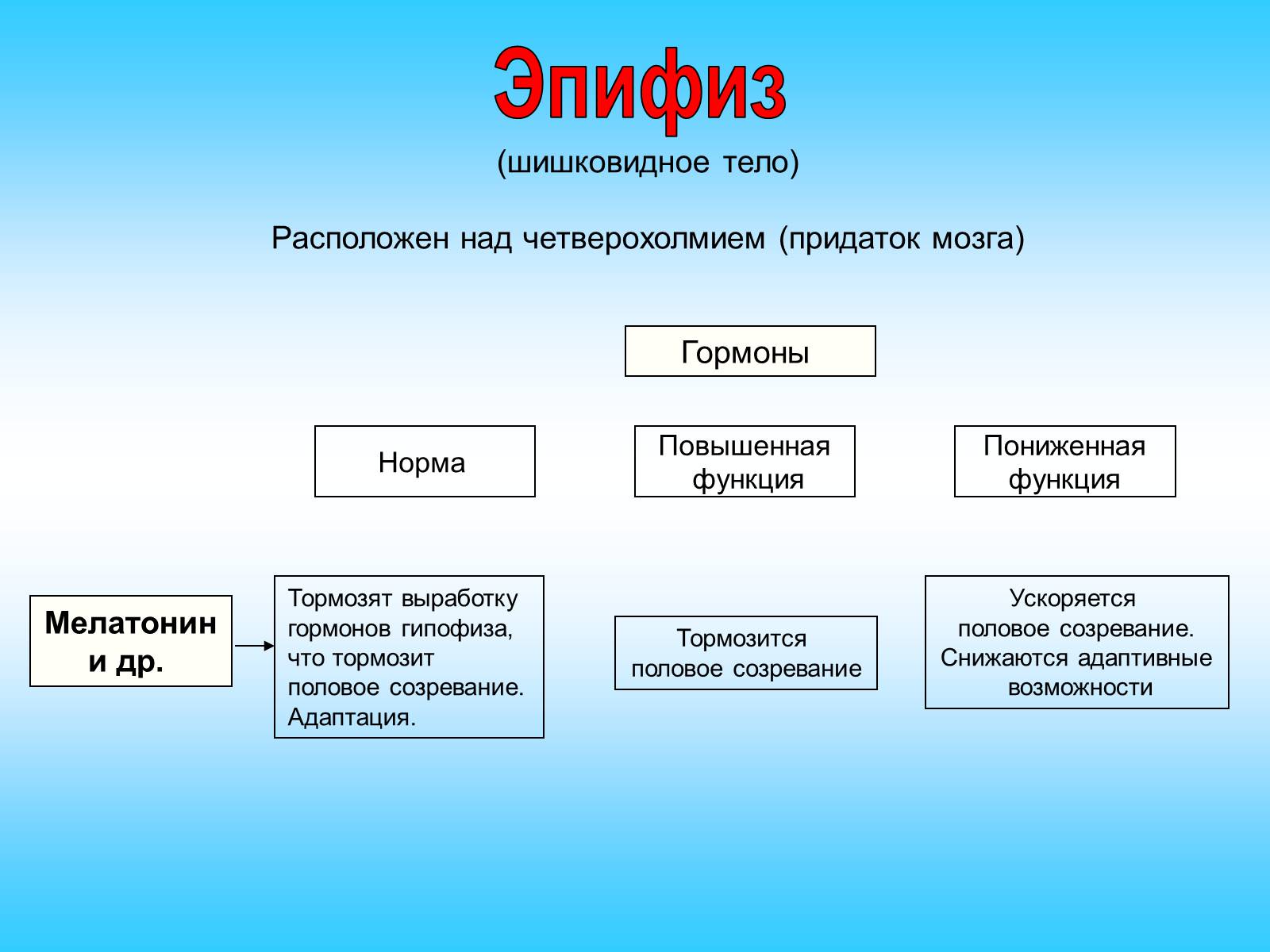 Презентація на тему «Железы внутренней секреции» (варіант 2) - Слайд #16 Презентація на тему «Железы внутренней секреции» (варіант 2) - Слайд #16