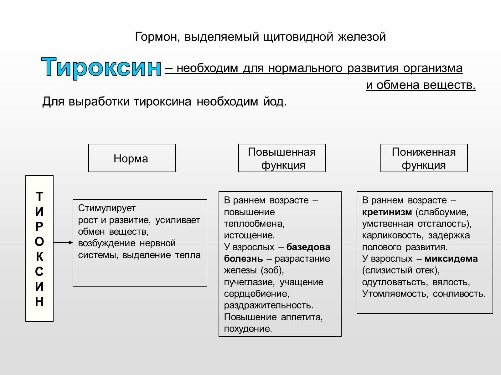 Презентація на тему «Железы внутренней секреции» (варіант 2) - Слайд #18 Презентація на тему «Железы внутренней секреции» (варіант 2) - Слайд #18