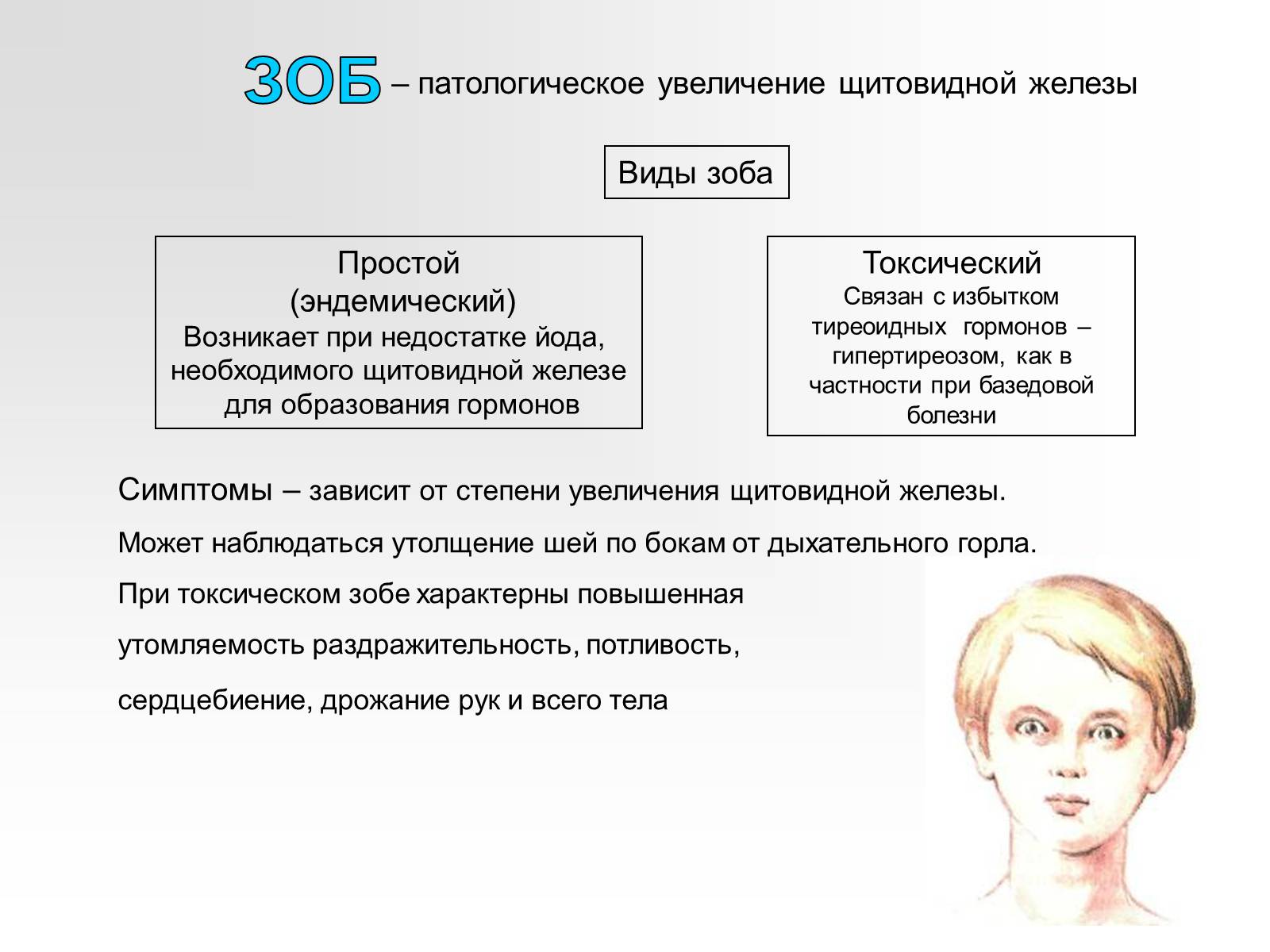 Презентація на тему «Железы внутренней секреции» (варіант 2) - Слайд #19 Презентація на тему «Железы внутренней секреции» (варіант 2) - Слайд #19