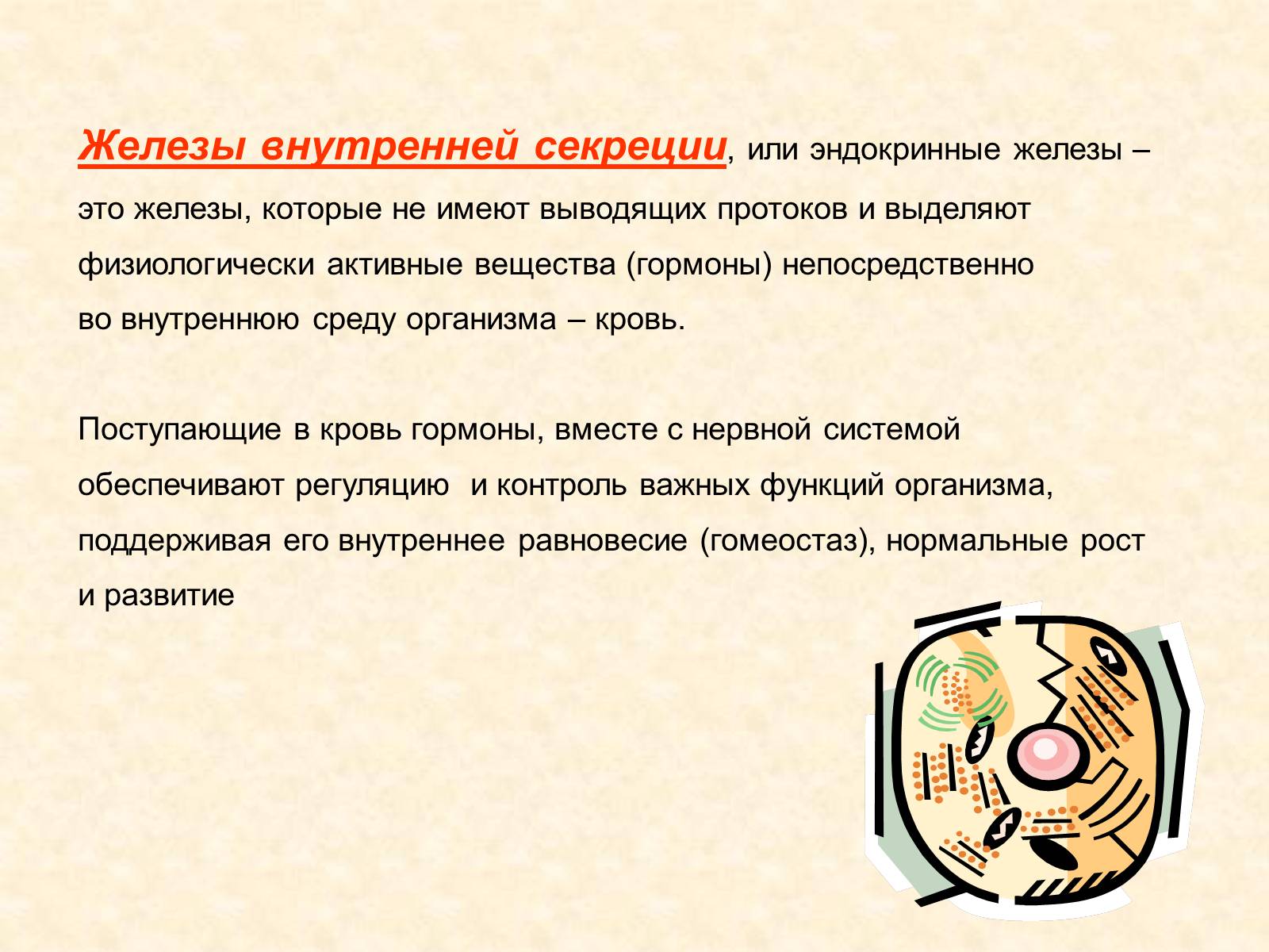 Презентація на тему «Железы внутренней секреции» (варіант 2) - Слайд #2 Презентація на тему «Железы внутренней секреции» (варіант 2) - Слайд #2