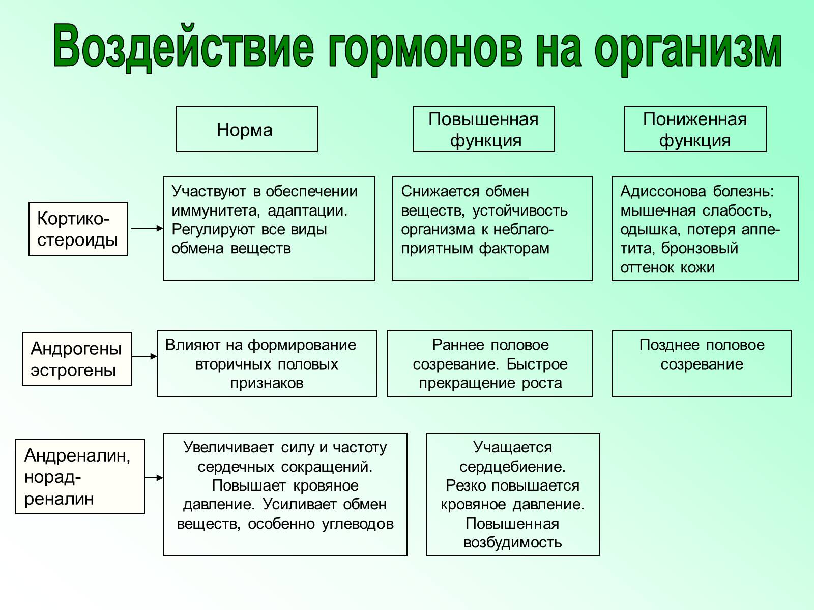 Презентація на тему «Железы внутренней секреции» (варіант 2) - Слайд #25 Презентація на тему «Железы внутренней секреции» (варіант 2) - Слайд #25